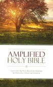 AMPLIFIED HOLY BIBLE - THINLINE [2015] - 9780310443872