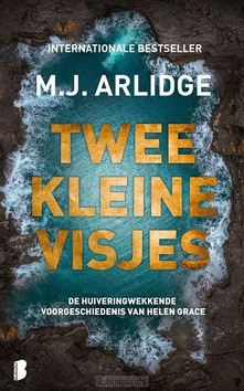 TWEE KLEINE VISJES - ARLIDGE, M.J. - 9789022594568