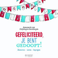 GEFELICITEERD, JE BENT GEDOOPT! - HEIJNINGEN-STEENBERGEN, ANNEMARIE - 9789023970682