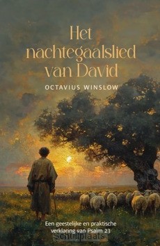 NACHTEGAALSLIED VAN DAVID - WINSLOW, OCTAVIUS - 9789033133015