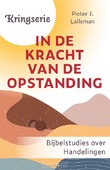 IN DE KRACHT VAN DE OPSTANDING - LALLEMAN, PIETER - 9789033804083