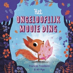 HET ONGELOOFLIJK MOOIE DING - TOSDEVIN, FRANCES; PYE, ALI - 9789043541909