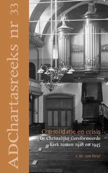 CONSOLIDATIE EN CRISIS - DRIEL, C.M. VAN - 9789055605378