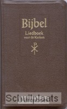 BIJBEL MAJOR BRUIN LIEDBOEK KUNSTLEER KL - 9789065390660