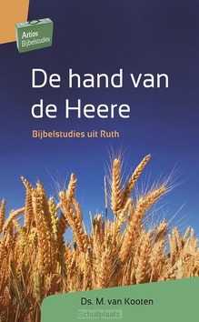 DE HAND VAN DE HEERE - KOOTEN, M. VAN - 9789088972454