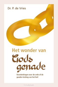 WONDER VAN GODS GENADE - VRIES, P. DE - 9789402910247