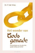 WONDER VAN GODS GENADE - VRIES, P. DE - 9789402910247