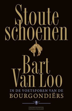 STOUTE SCHOENEN - LOO, BART VAN - 9789403147918