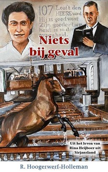 NIETS BIJ GEVAL - HOOGERWERF-HOLLEMAN, R; RUISSEN, MJ - 9789461152701