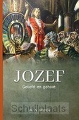 JOZEF GELIEFD EN GEHAAT - VERMEIJ, DS. A. - 9789463703017